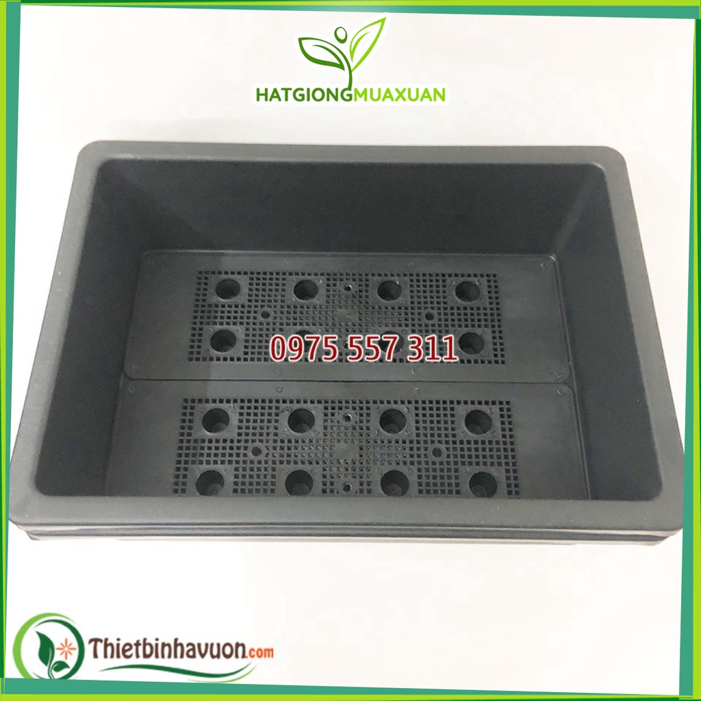 combo 5 chậu chữ nhật trồng rau màu đen/xanh