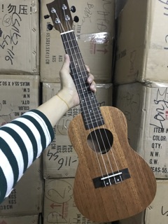 Đàn Ukulele Concert Full Gỗ Giá Rẻ CB3