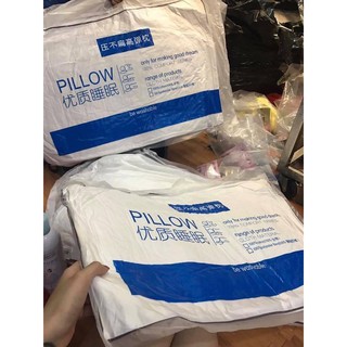 Ruột gối HILTON - (2 chiếc)