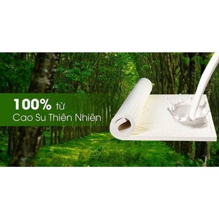 Nệm cao su thiên nhiên Vạn Thành 1m6x2m0x5cm