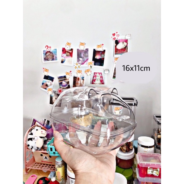 ✨ Nhà tắm Mica Mèo