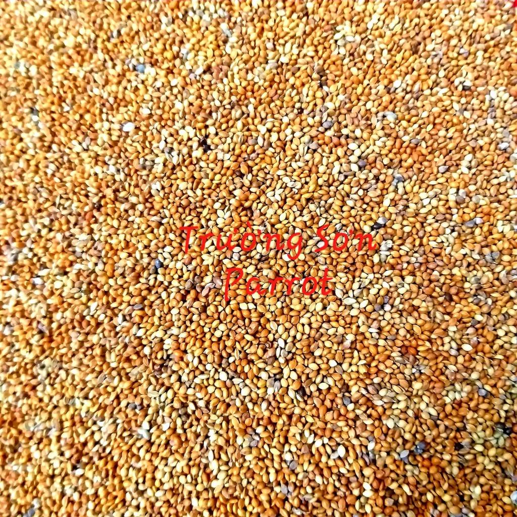 Kê đỏ nhỏ ( gói 300g) cho vẹt, sóc, hamster, chim cu, yến hót, chim bảy màu.....