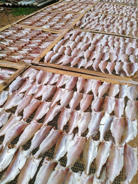 0,5kg Khô cá đù 1 nắng