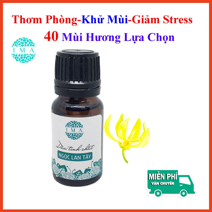 Tinh Dầu Thơm Phòng Thiên Nhiên IMA Nguyên Chất Có Kiểm Định Nhiều Mùi Dung Tích 10ml Thơm Phòng Giảm Stress