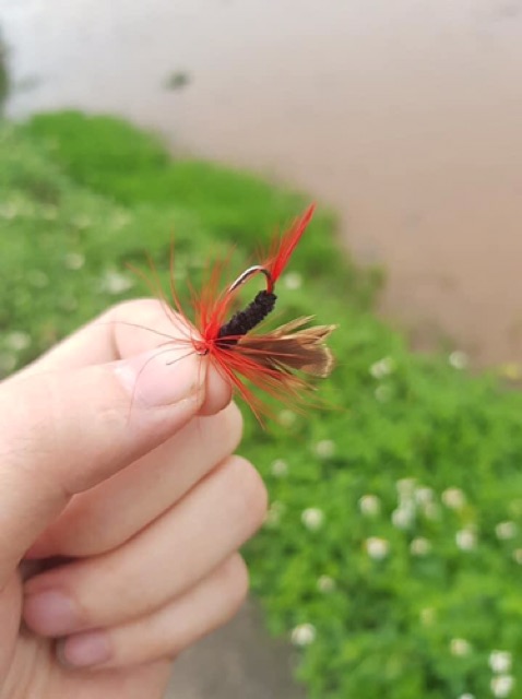 Mồi giả câu cá fly vỉ 12 con