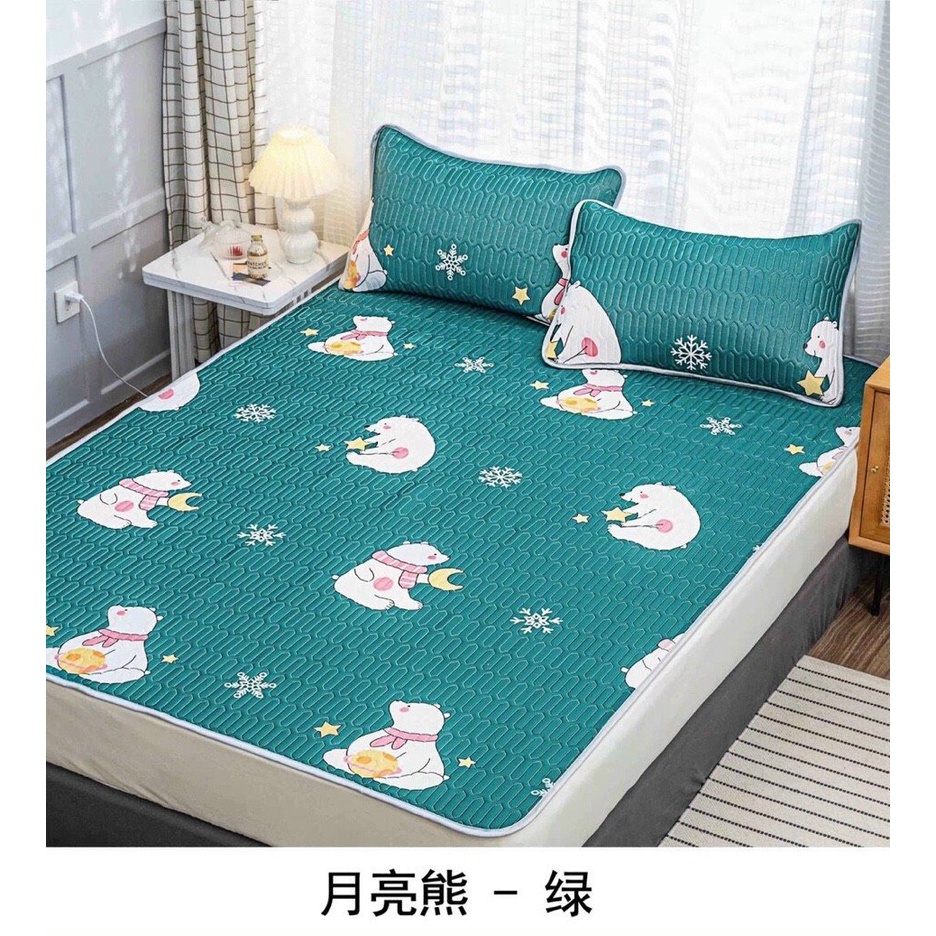 Chiếu điều hòa cao su non 3d Latex thông minh ga trải giường đủ size tặng 2 vỏ gối cùng màu có túi zip bọc nệm đệm đẹp