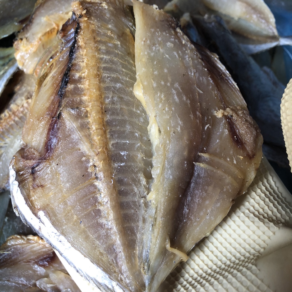 - KHÔ CÁ ĐÙ MẶN/ CÁ ĐỘI ĐÈN KHÔ HÉO ƯỚP MẶN/ CÁ PHÈN HỒNG HÉO NGON ƯỚP MẶN 500g, 1kg