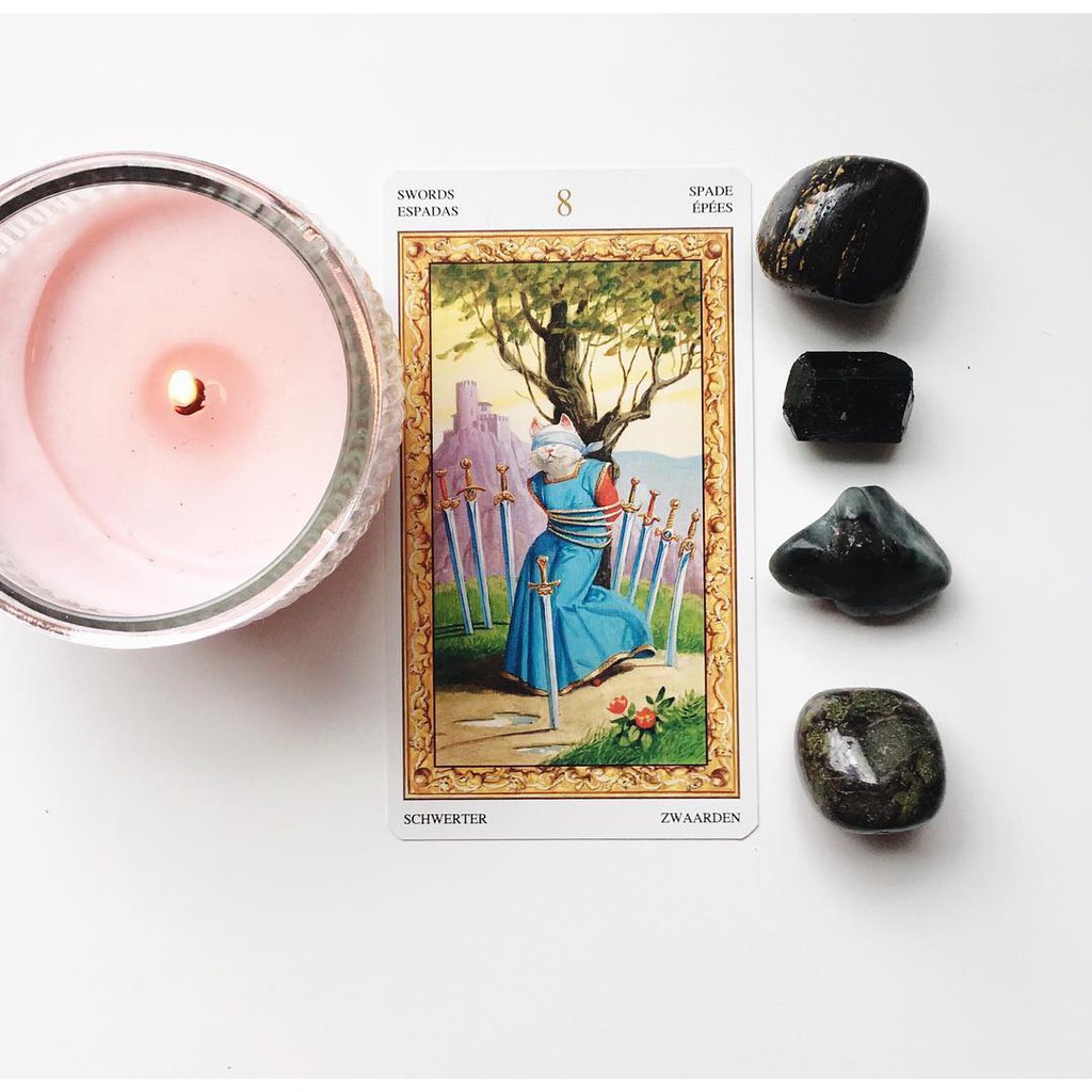 Bài Tarot of White Cats