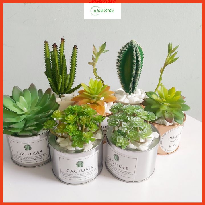 Cây giả, chậu cây xương rồng, sen đá nhân tạo nhỏ xinh để bàn, kệ tủ decor, làm quà lưu niệm ý nghĩa SD-02