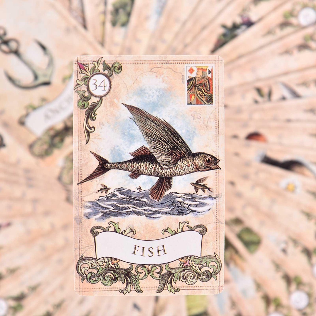 Bộ bài tarot phiên bản tiếng anh độc đáo