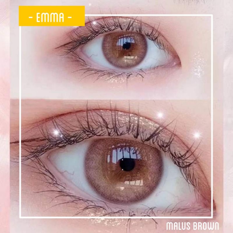 🌸 Kính áp tròng Malus Brown - Kính áp tròng nâu hồng tây nhẹ / Emma Super Mini Contact Lens 🌸