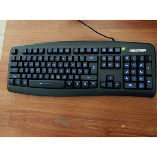 Bàn phím NEWMEN GL100