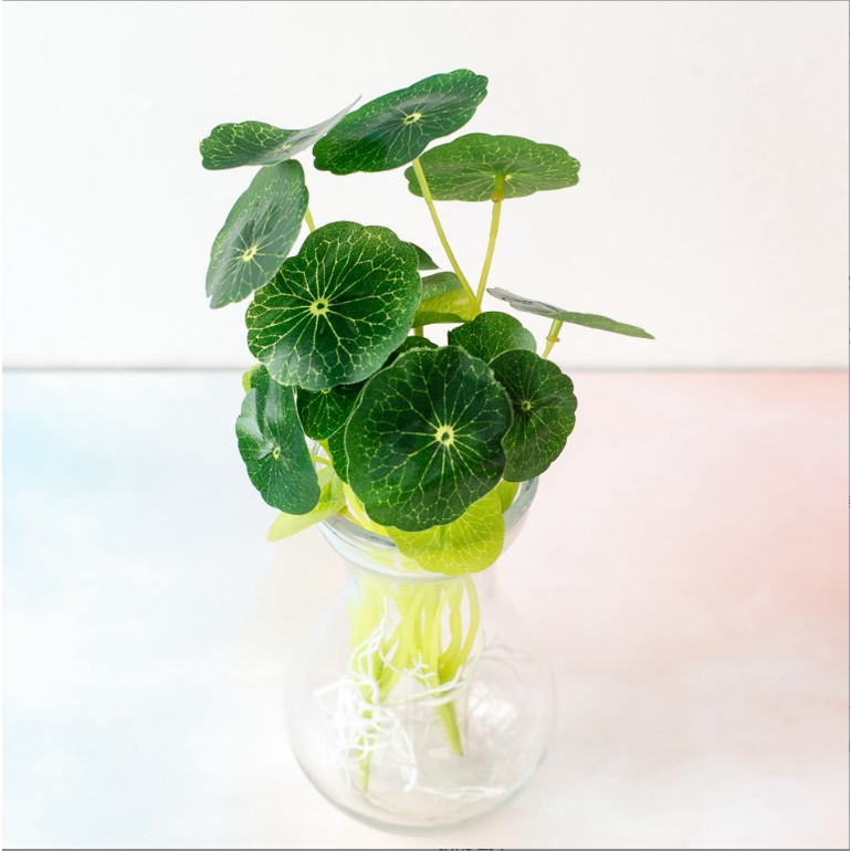 CÂY RAU MÁ NHẬT LÁ TRÒN - Cây cảnh giả dòng thủy sinh trang trí không gian nhà, sân vườn, quán cafe