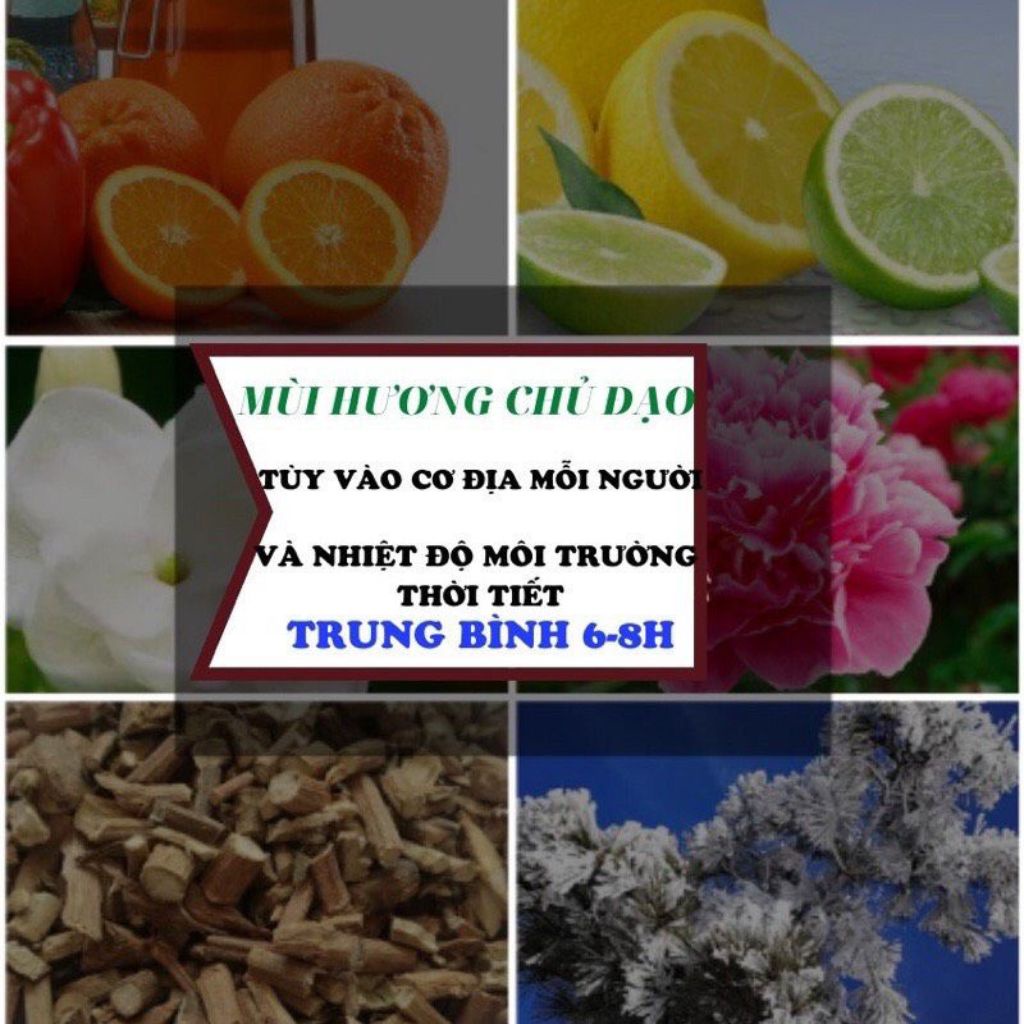 Nước Hoa Dubai Oud Al Sultan 100ml Nước Hoa Nam  Nữ Thơm Lâu Lôi Cuốn Tinh Dầu Nước Hoa Dubai SHOP 9999