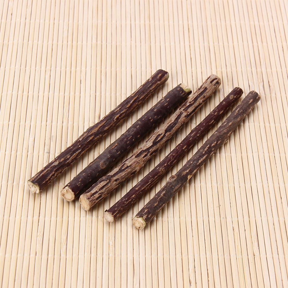5 miếng gỗ tự nhiên làm sạch răng cho mèo