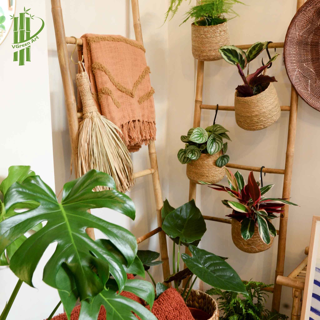 Thang tre Hà Nội cao 1m7 rộng 45cm/ 50cm màu tự nhiên hoặc sơn nhiều màu chất lượng cao giá rẻ, bán lẻ, bán sỉ, bán buôn