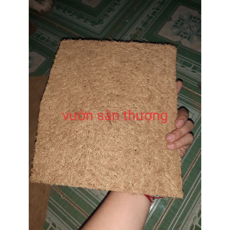 1 Miếng Xơ Dừa Tấm 20x20cm, Trồng Lan, Cây, Ươm Cây Con, Thân Thiện Môi Trường