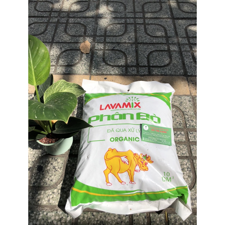 Phân Bò nguyên chất đã xử lí LAVAMIX