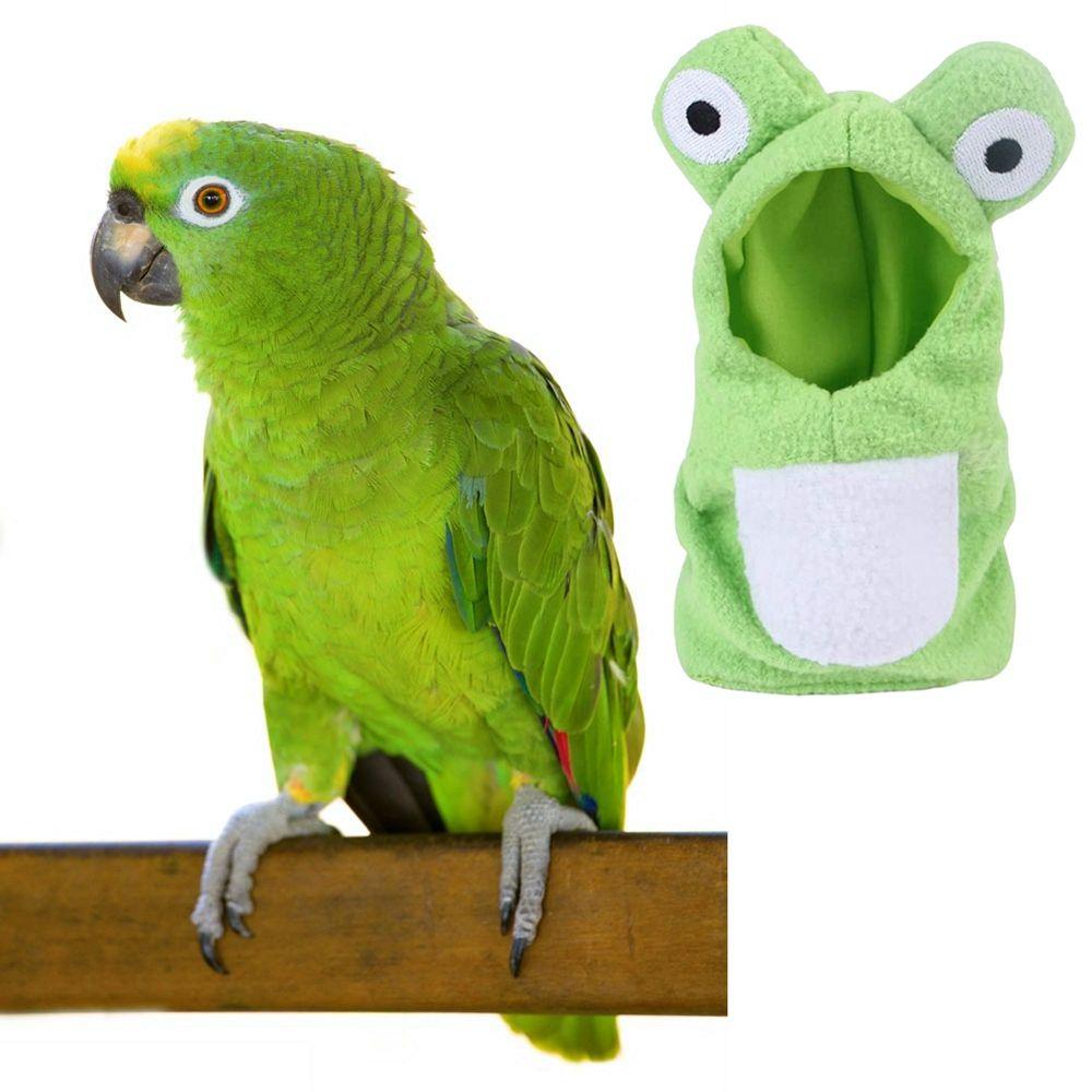 Trang Phục Cho Chim Ruồi Paraket Cockatiel