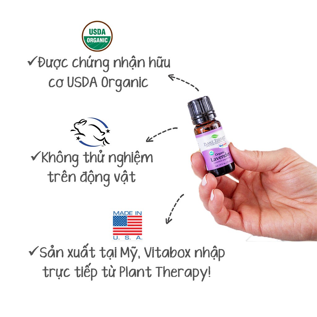 Plant Therapy - Tinh Dầu Phong Lữ Hữu Cơ - Geranium Bourbon Organic KidSafe Essential Oil - 5mL