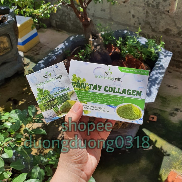 Cần Tây Collagen Chính Hãng Thiên Nhiên Việt | BigBuy360 - bigbuy360.vn