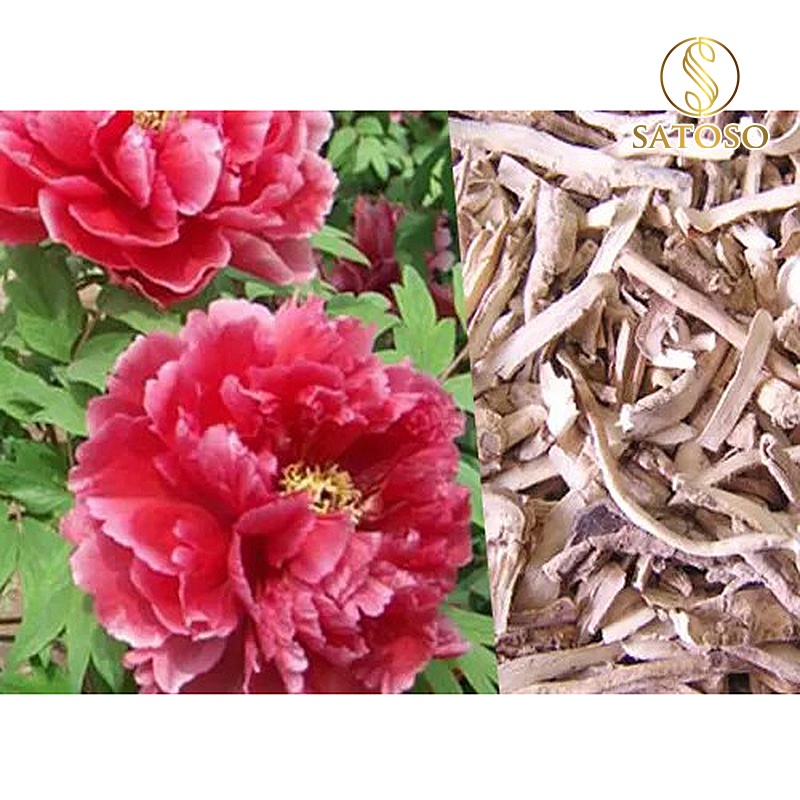 Mẫu đơn bì khô thượng hạng tốt cho giấc ngủ SATOSO 1kg loại mới khô đẹp SA66