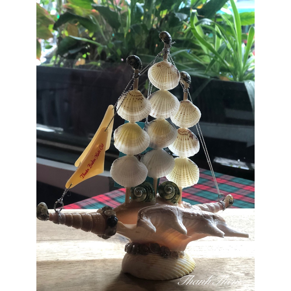 Thuyền Buồm Làm Từ Vỏ Ốc Biển Tự Nhiên.