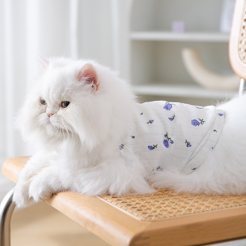 &lt;cutepethome&gt;Áo Hai Dây Họa Tiết Hoa Thời Trang Mùa Hè Cho Thú Cưng