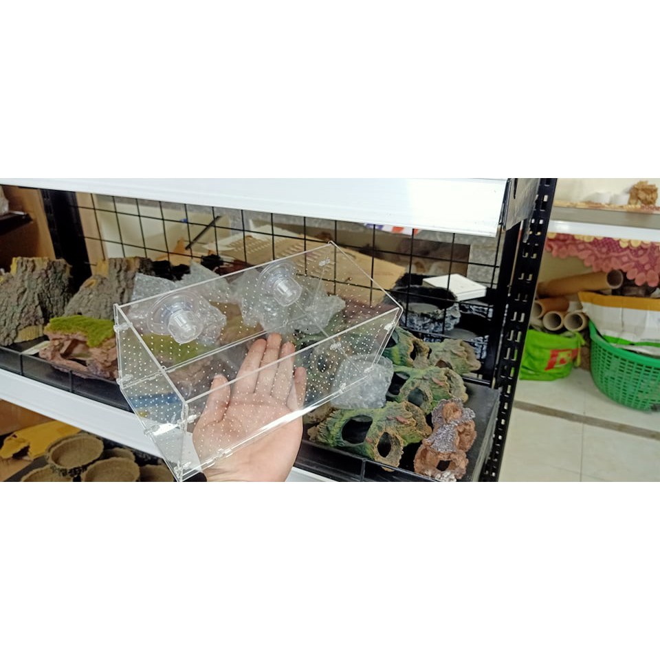 Lồng dưỡng cá tép Mica siêu trong- Lồng dưỡng tép bể thủy sinh cao cấp