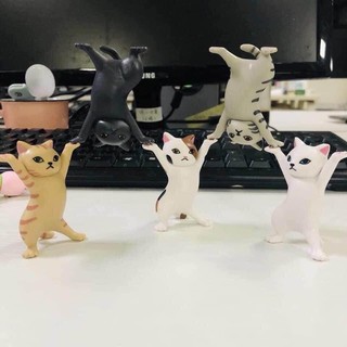 Set 5 mô hình mèo xinh xắn dùng để trang trí