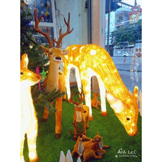 Tuần lộc (Nai nhung) trang trí Giáng sinh 30-50-80cm