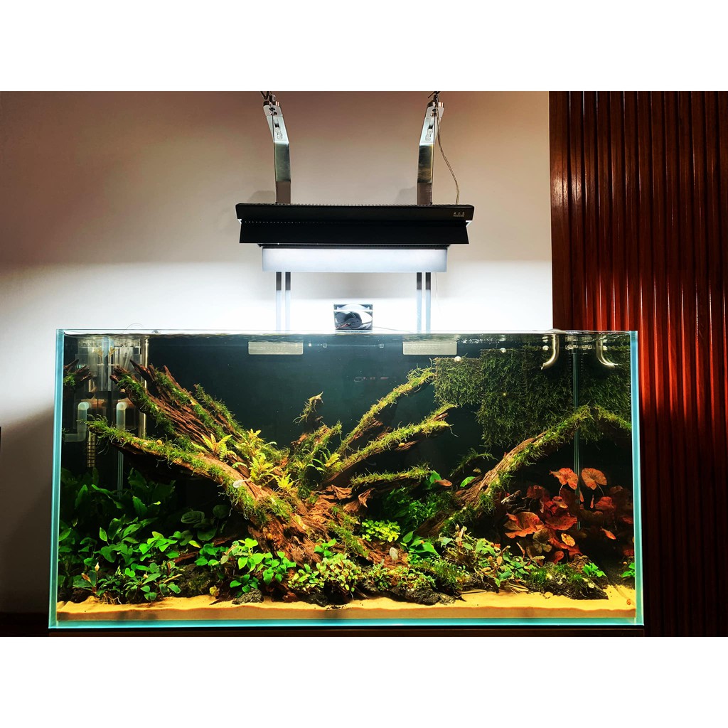 Đèn led thủy sinh Week  Ark