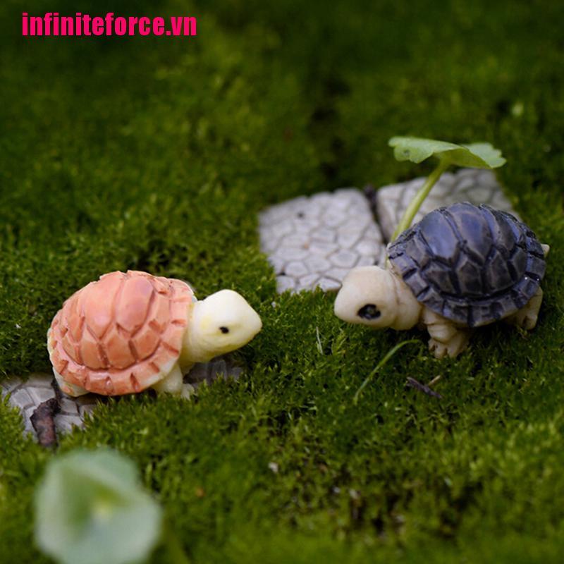 Bộ 2 Mô Hình Rùa Mini Dùng Trang Trí Bonsai / Tiểu Cảnh