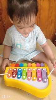 Bộ xô Nhật Lullaby