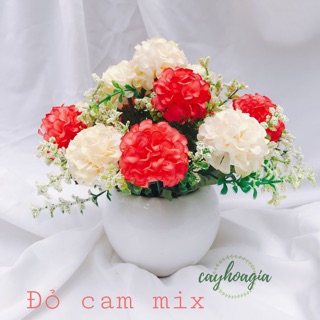 Chậu hoa tú cầu cắm sẵn m03