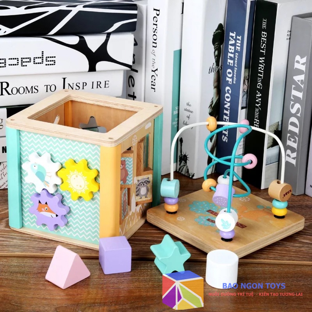 KHỐI HOẠT ĐỘNG THẢ HÌNH 5 IN 1 GIÚP BÉ HỌC MÀU SẮC, HÌNH DẠNG VÀ PHÁT TRIỂN VẬN ĐỘNG TINH - BAO NGON TOYS - DG113