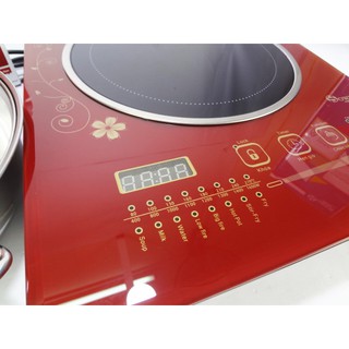 Bếp từ Sowun SW199P