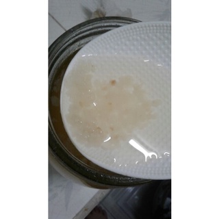 Nấm nước kefir