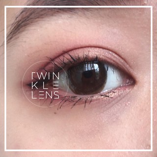 Kính áp tròng/Lens Chiffone Brown