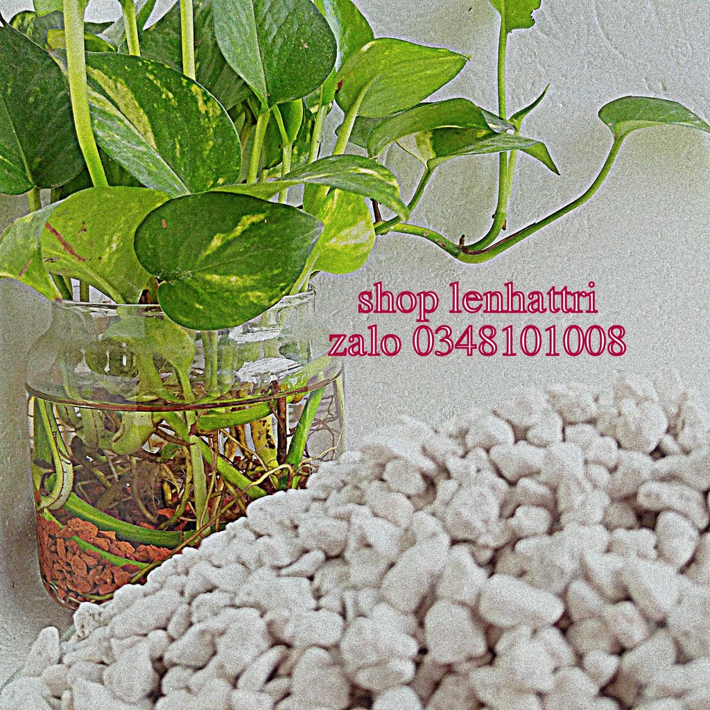 Đá lông vũ đá pumice đá bọt núi lửa 1kg