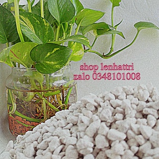 Đá lông vũ đá pumice đá bọt núi lửa 1kg