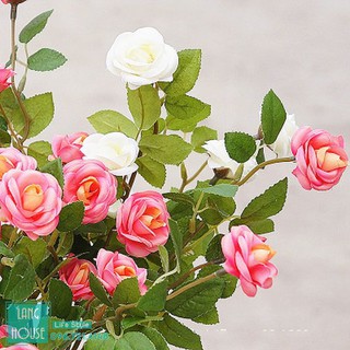 Hoa Lụa Giả - HOA HỒNG LEO CLAIRE Loại 1 - 1 Cành 5 Bông