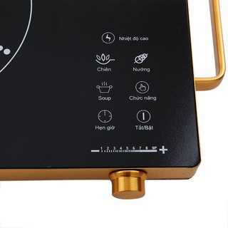 Bếp hồng ngoại ASANZO IS-15K1