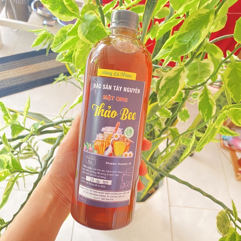 Mật ong nguyên chất rừng lá tràm Thảo Bee