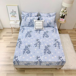 8.GA GỐI LẺ COTTON LỤA ( ảnh shop tự chụp 100%)