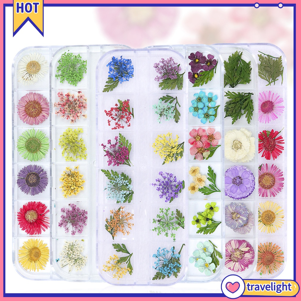(Travelight) Hộp phụ kiện hoa khô trang trí móng tay
