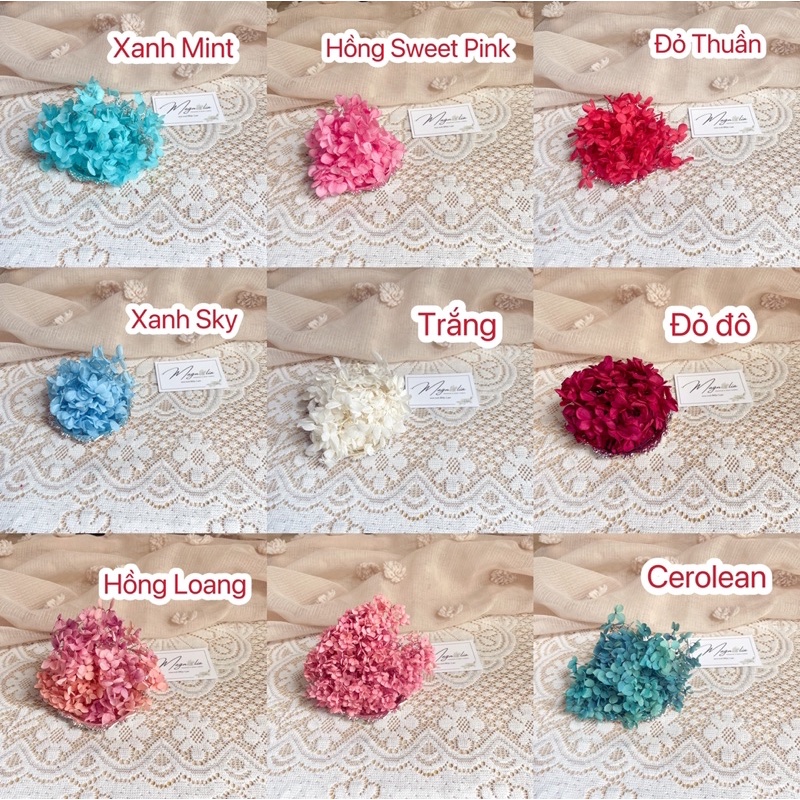 Cẩm tú cầu khô cân 5gr làm nail, trang trí móng, làm đồ handmade, resin epoxy, cắm bánh kem