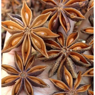 Hoa hồi, đại hồi 100 gr