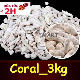 SAN HÔ ( 3KG ) loại đẹp, vật liệu lọc,trang trí bể cá, tăng độ PH giúp cá lớn phát triển mạnh, lớn nhanh ( Màu trắng)