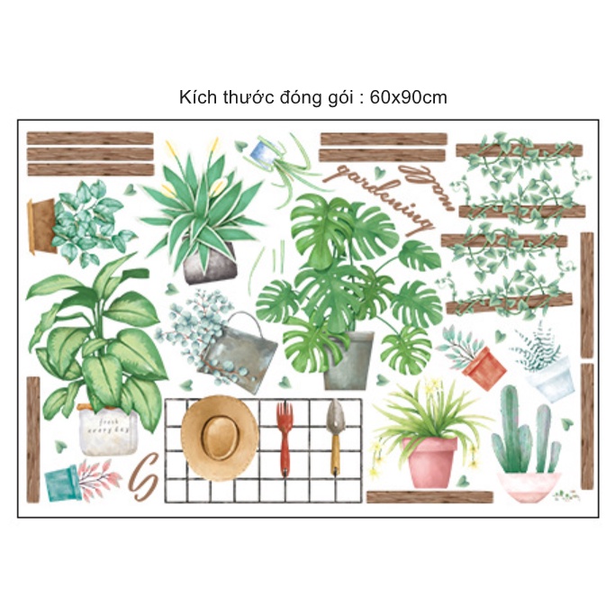 Decal trang trí tường - Những chậu hoa nhỏ trên kệ gỗ